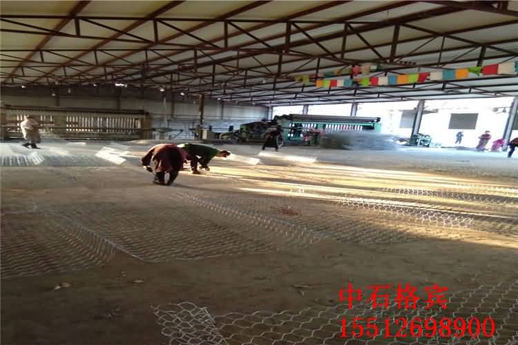 雙隔板雷諾護墊.jpg