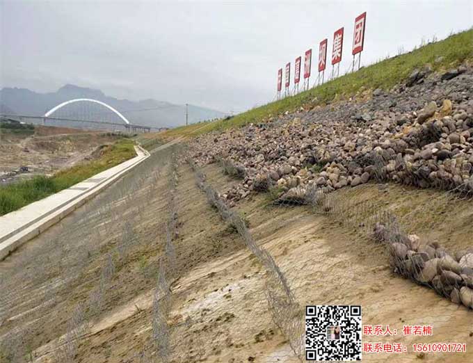 雙隔板雷諾護墊