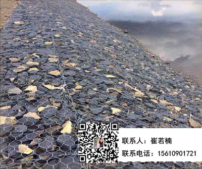 雷諾護墊